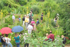 Offener Bauerngarten