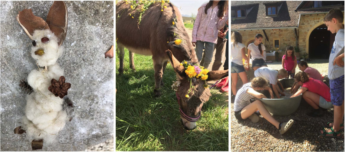 Events für Grundschulen und Kindergärten