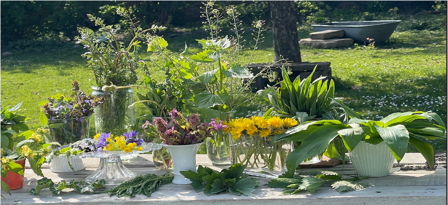 Offener Garten im Hofgut Tellmann