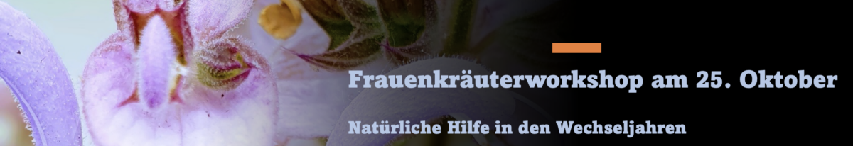 Frauenkräuterworkshop – Hofgut Tellmann