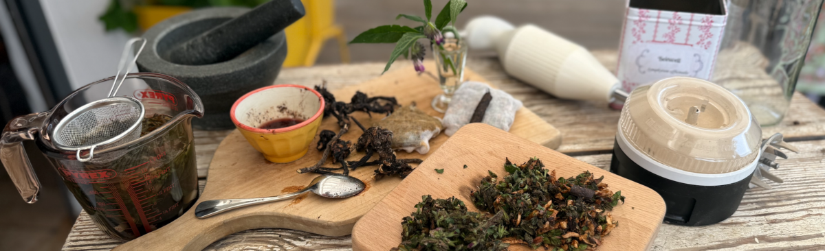 Herbstapotheke mit Kräuterexkursion