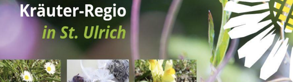 Kräutergrundkurs 2026 – Bildungshaus Kloster St. Ulrich
