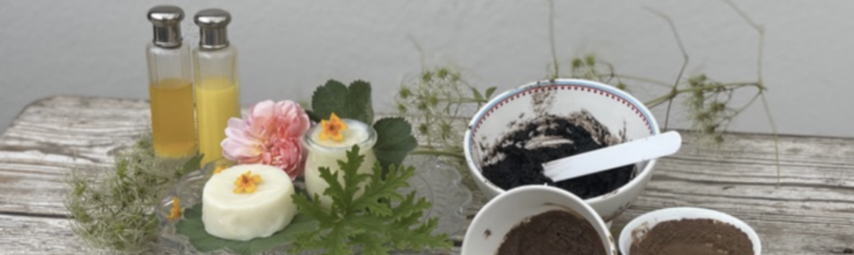 Allgemeine Seminare und Kurse