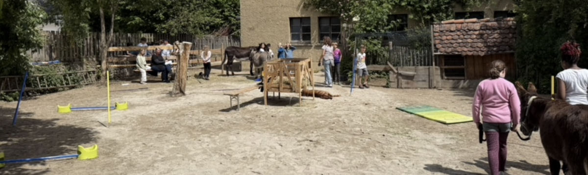 Events für Grundschulen und Kindergärten